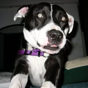 Meet your Posher, Christine